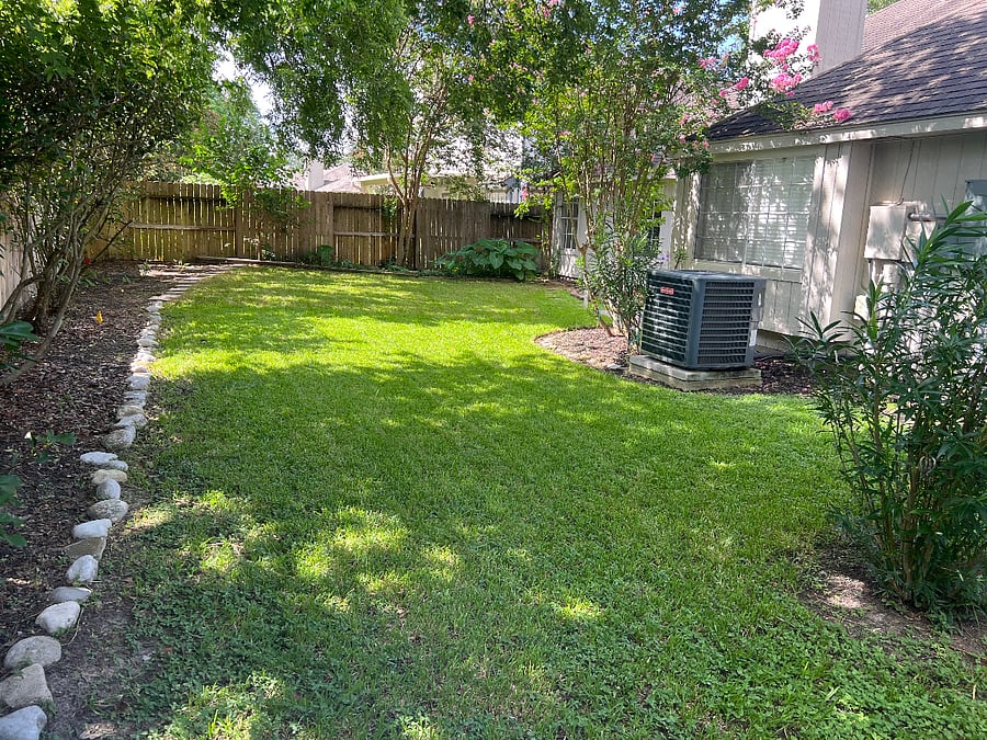 Rear Yard