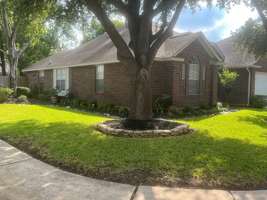 Front yard