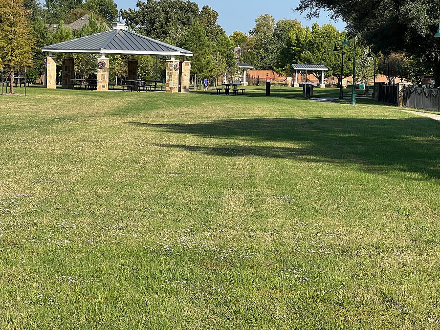 park area