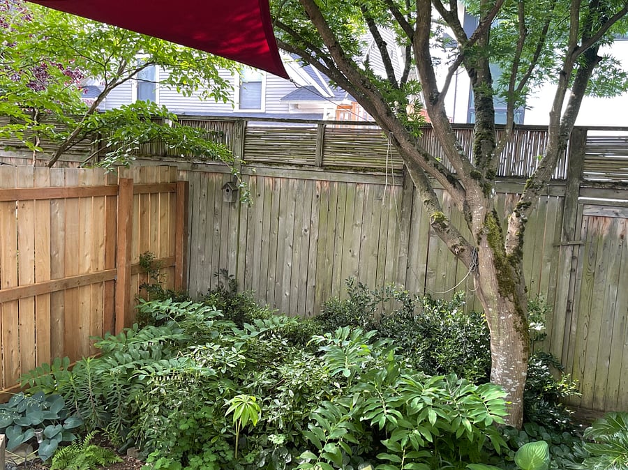 Furnished Finder property 867725_1 photo 20