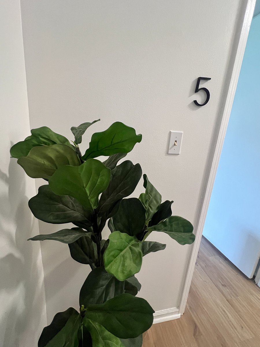 Furnished Finder property 867752_1 photo 17