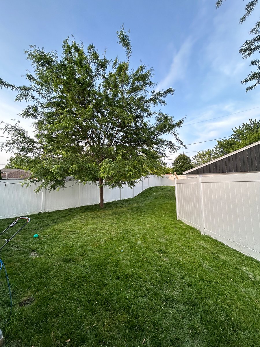 Furnished Finder property 868003_1 photo 9