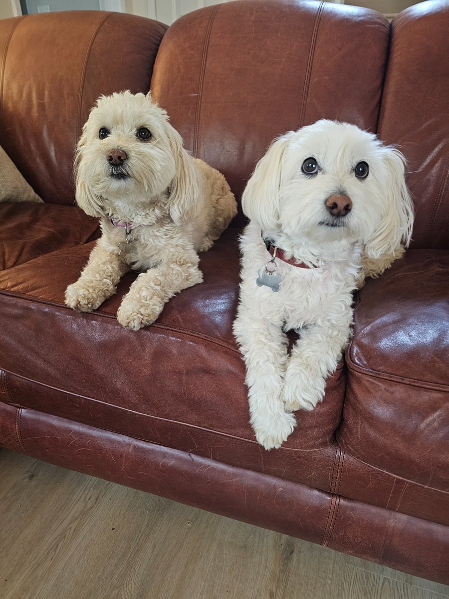 Chelsea and Benji share hosting.