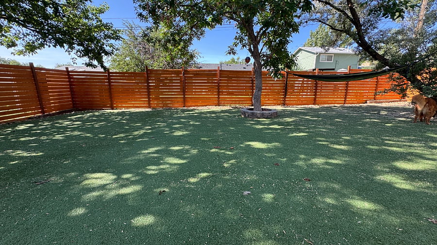Full turf back yard with a disc golf basket and hammock. 