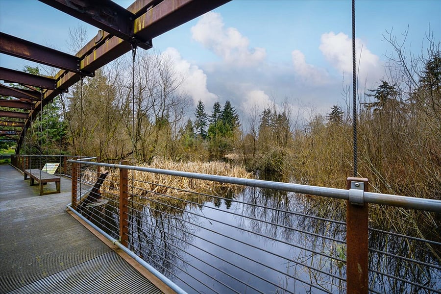 suspension bridge over the pond is a great spot for birdwatching, morning coffee