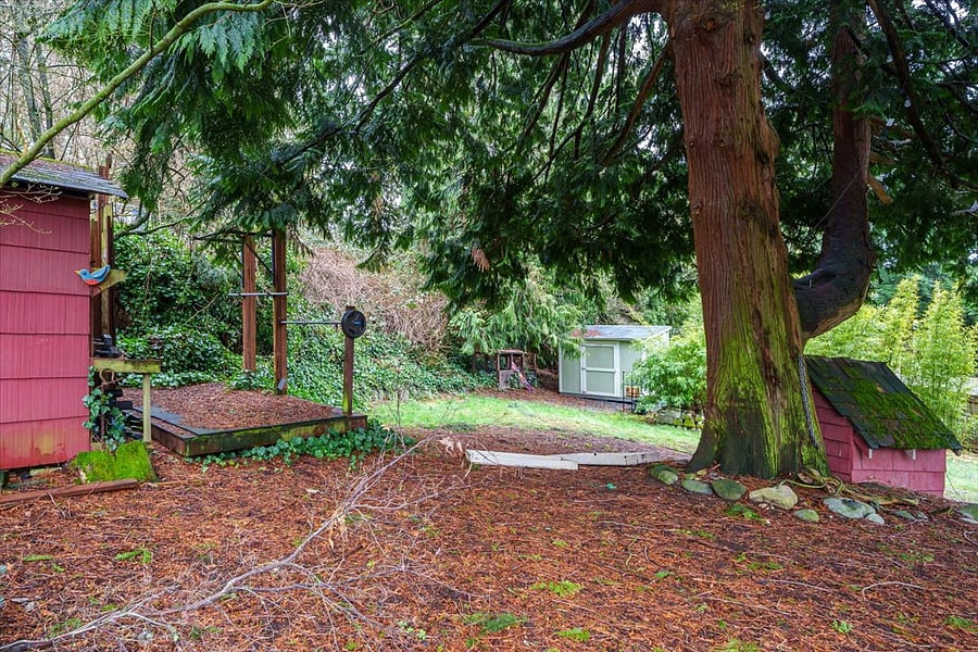 Gym platform, good for lifting, yoga. and a hammock strung under two of the three nearly century old towering pines