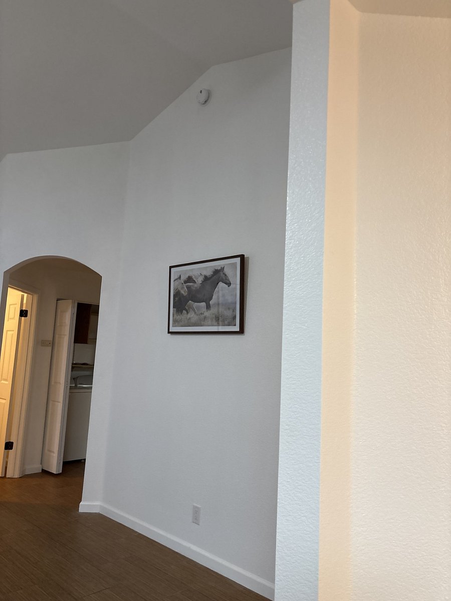 Furnished Finder property 868182_1 photo 11