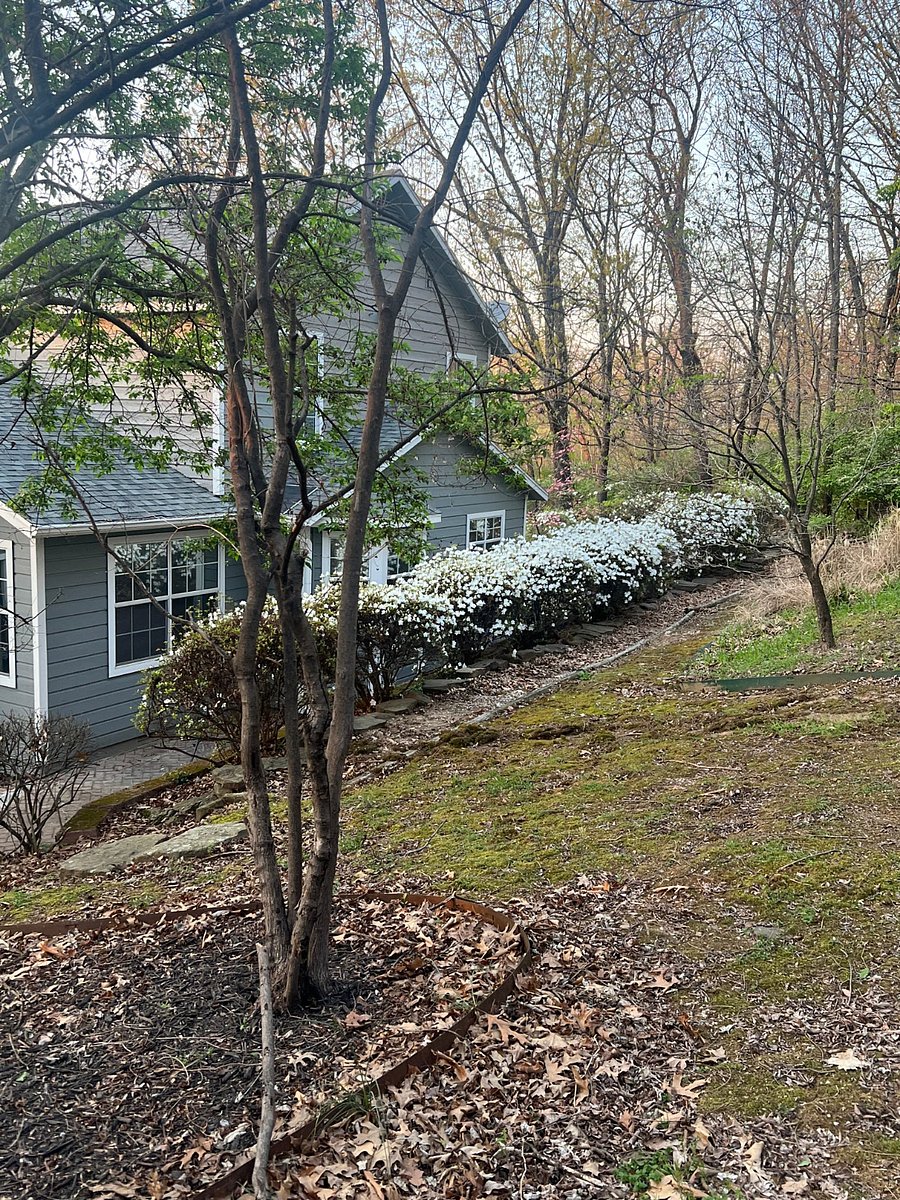 Furnished Finder property 868208_1 photo 22