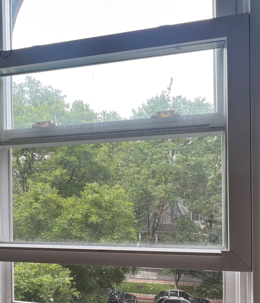 View from third floor bedroom