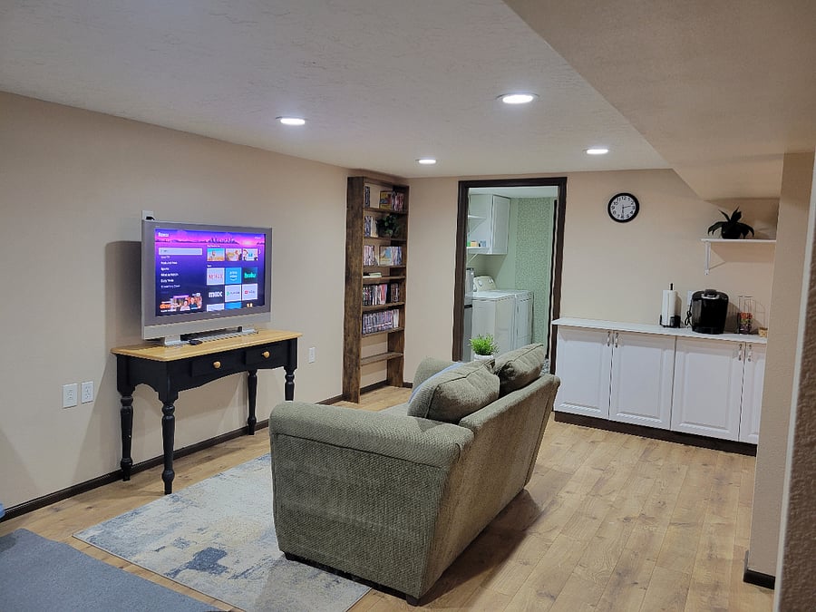 Basement living room
