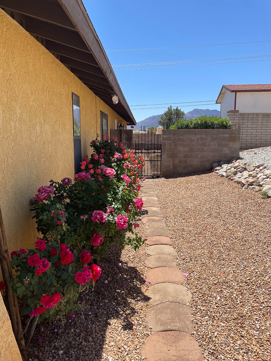 Furnished Finder property 868378_1 photo 16