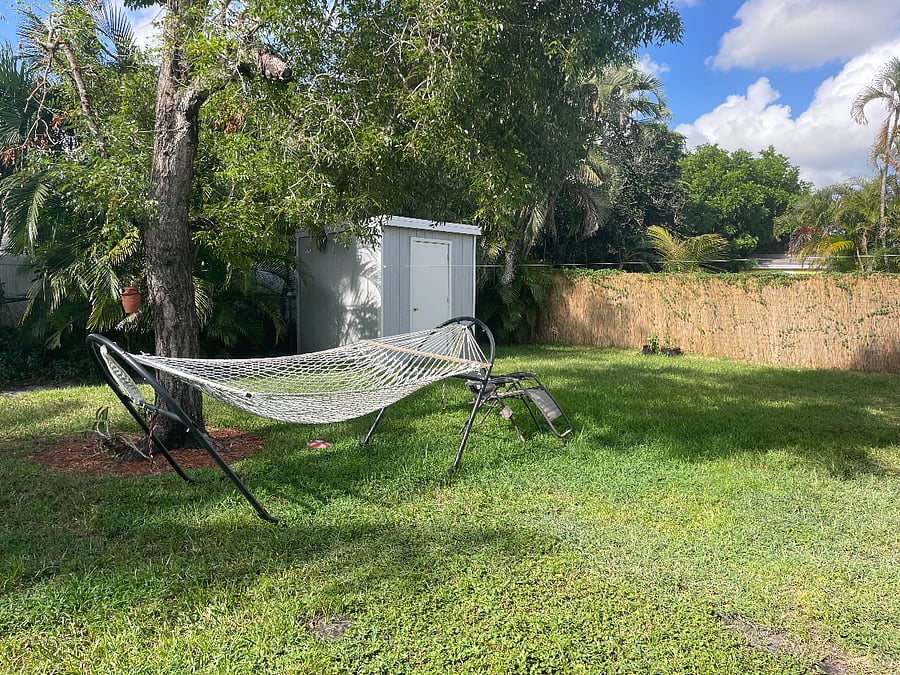 hammock under the mahogany tree