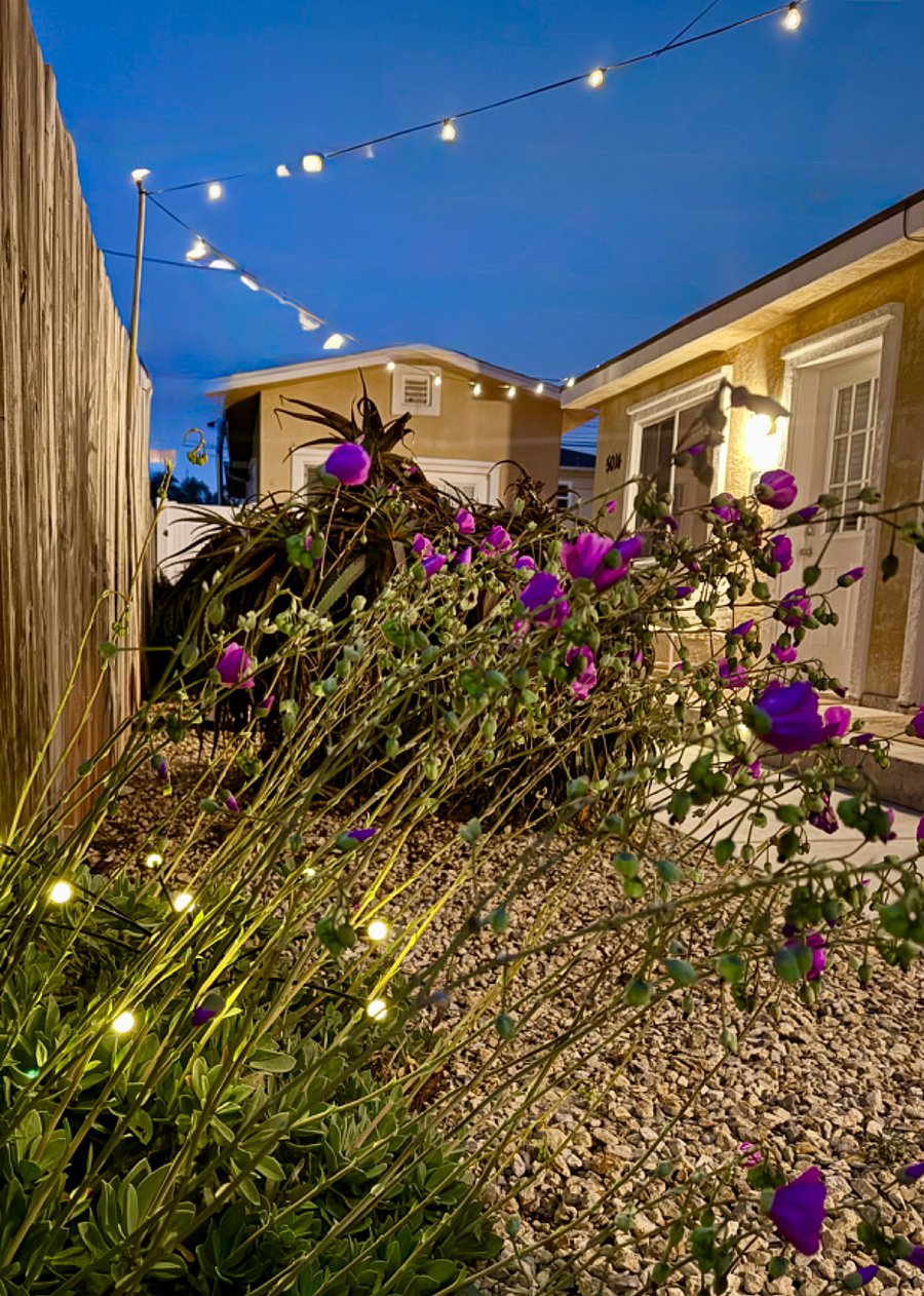 Furnished Finder property 868541_1 photo 14
