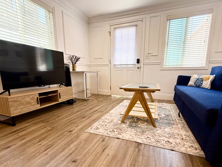 Lounge with sleeper couch and 55 inch smart TVWalk