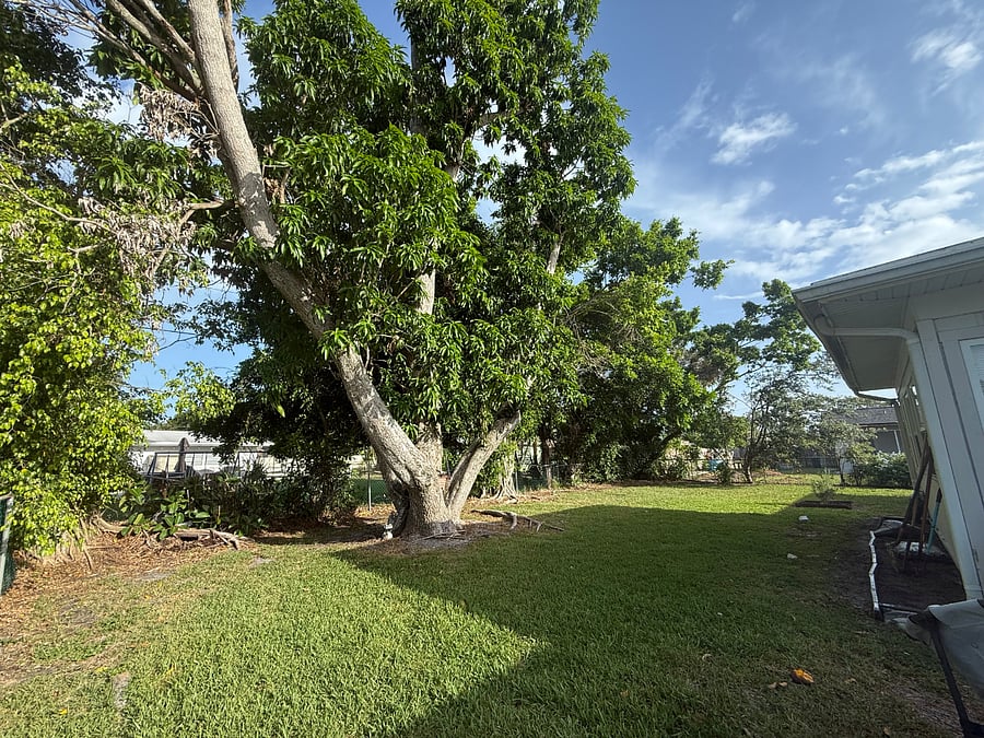 Furnished Finder property 868552_1 photo 4