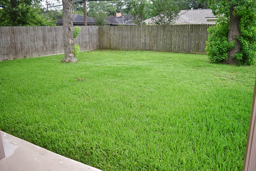 Furnished Finder property 868555_1 photo 10