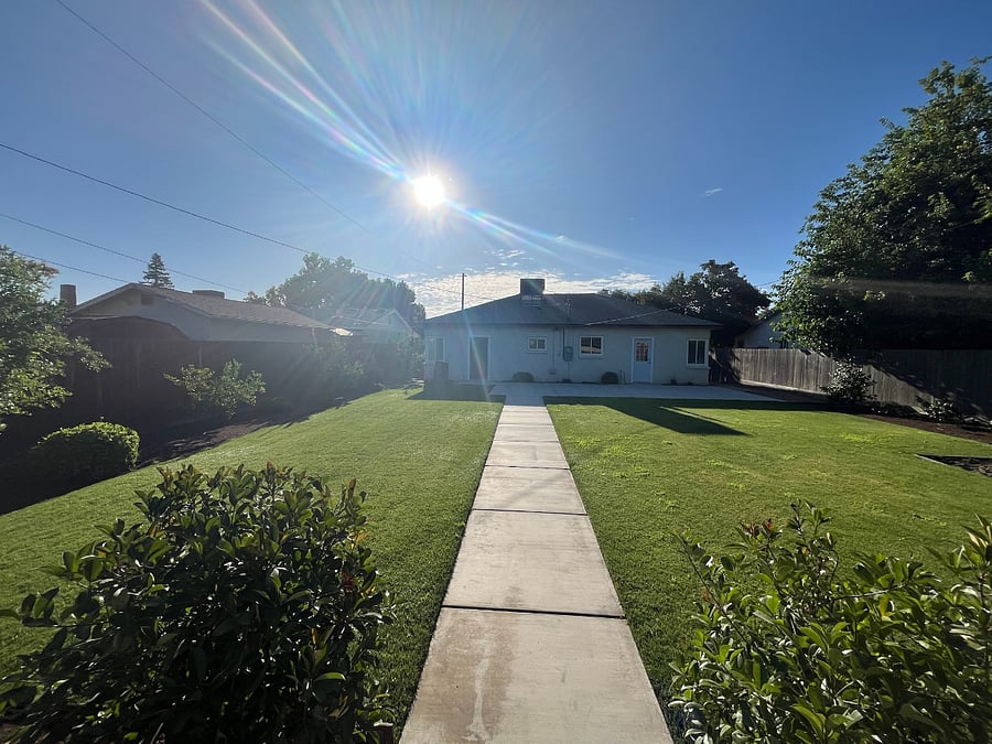 Backyard