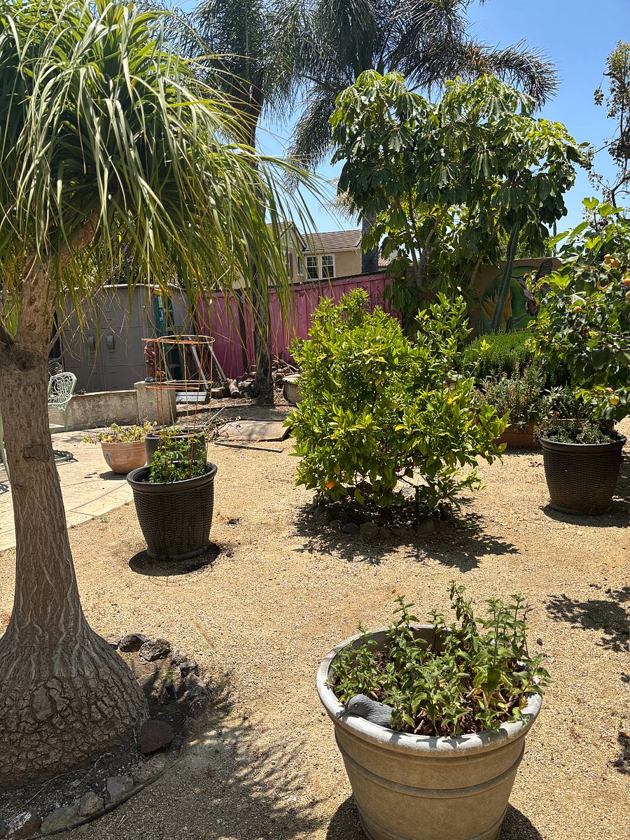 Furnished Finder property 868612_1 photo 23