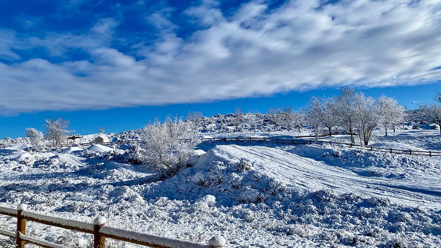 View from the patio on a snowy day.