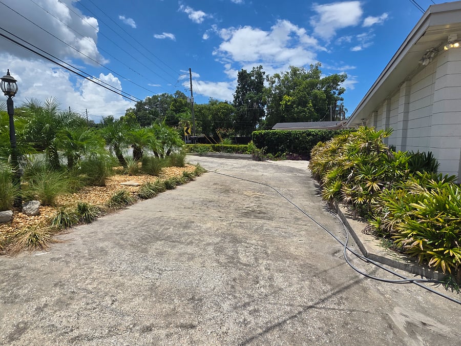 This entire west side of driveway is for tenants. 2 cars allowed plus there is ample room for even a 3rd car to park if having a visitor.