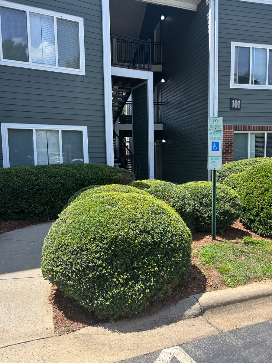 This shows the short distance from the parking to the entrance.