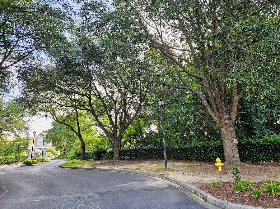 Entrance to Neighborhood!