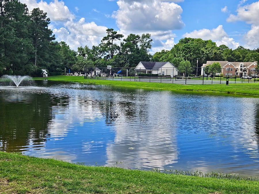 This beautiful views only steps from the condo!