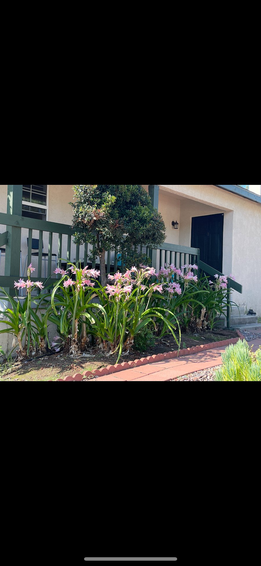Furnished Finder property 869244_1 photo 10