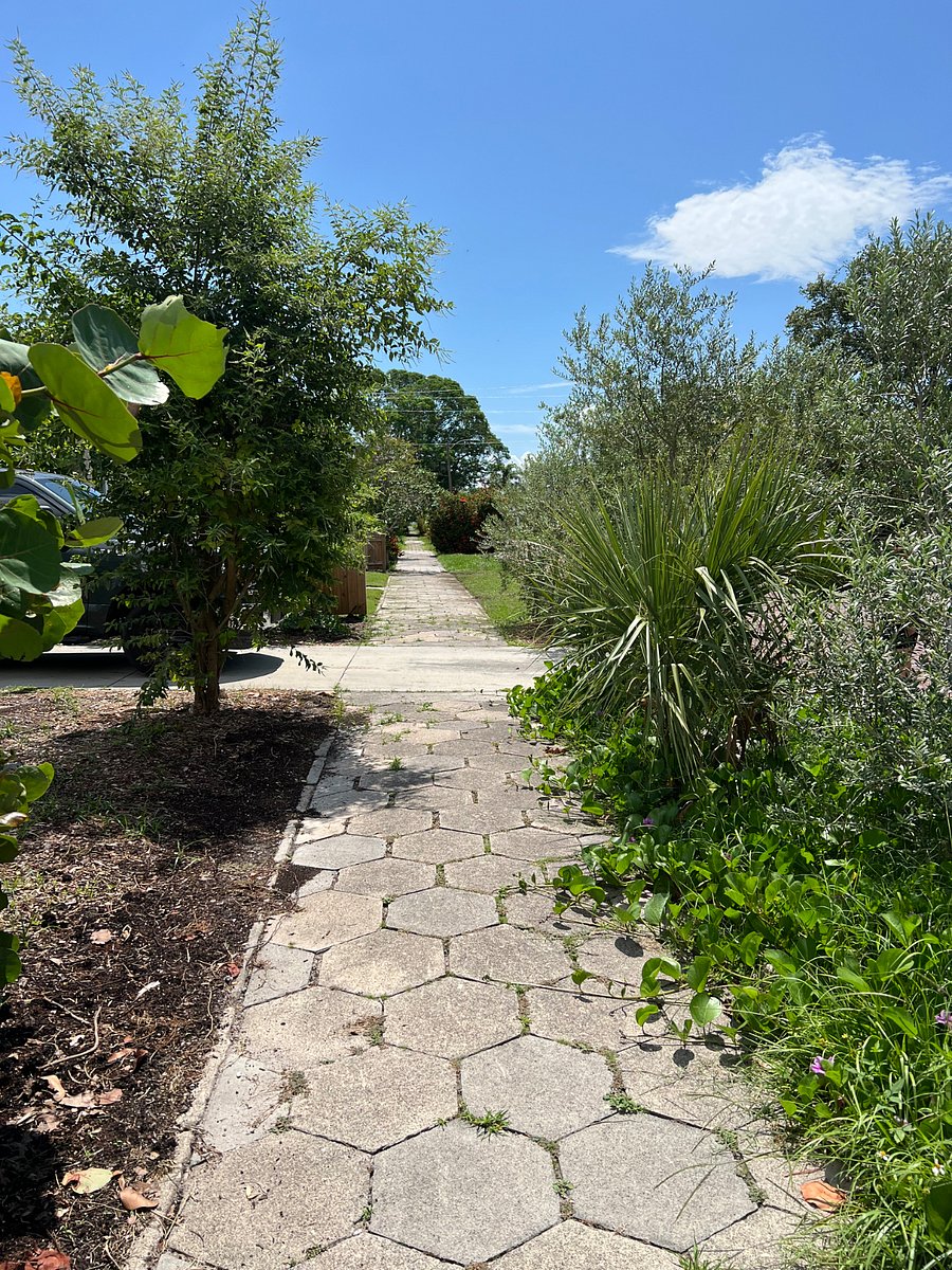 Nice neighborhood for walks!