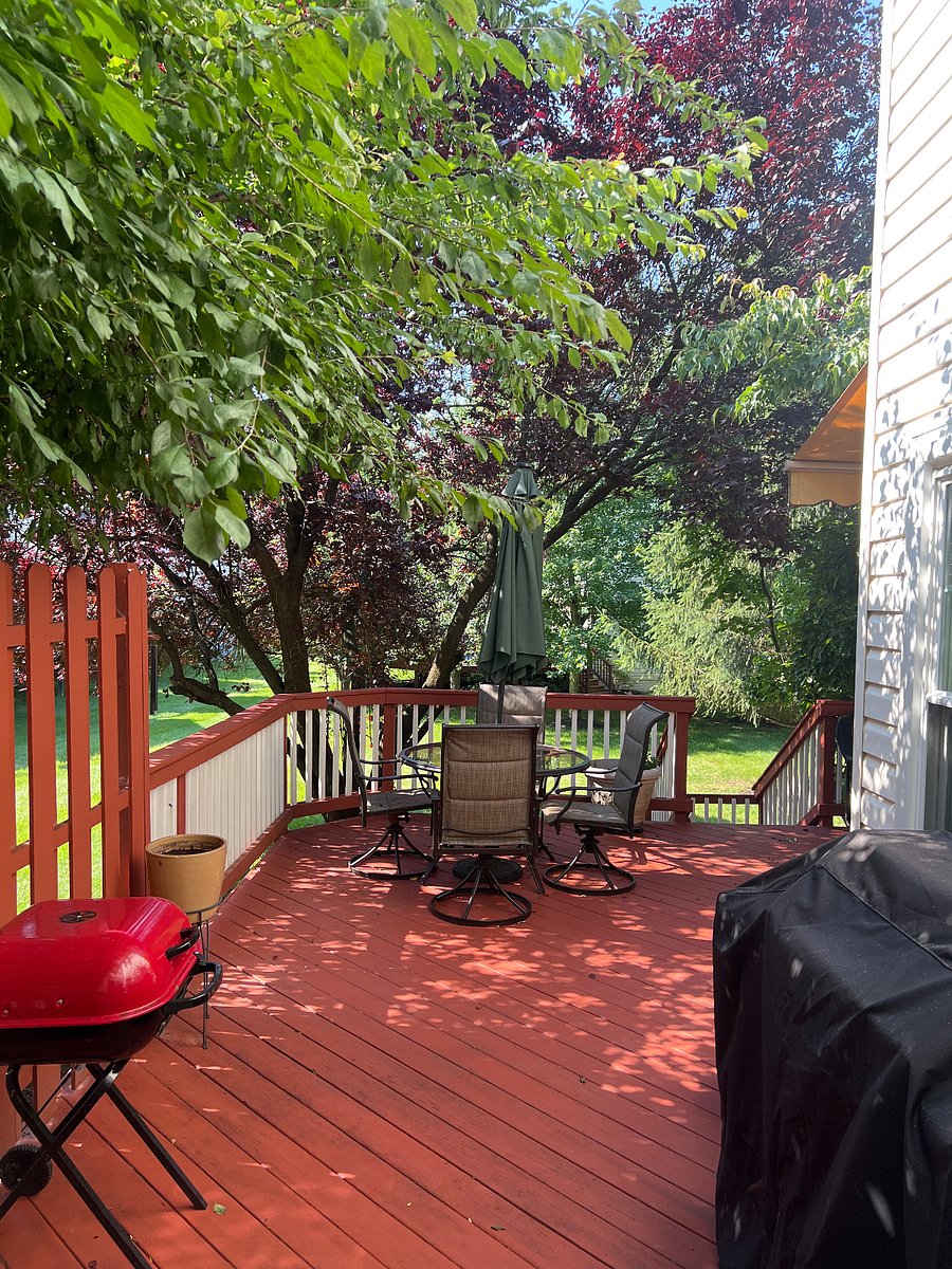 Furnished Finder property 869320_1 photo 4