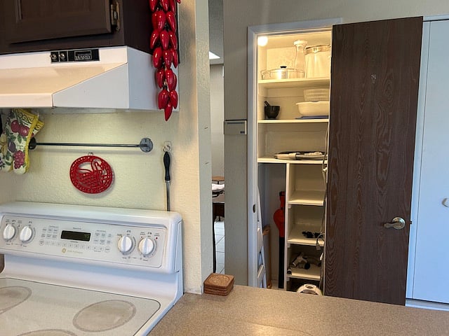 A large broom closet/pantry
