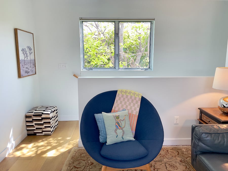 View out to lush persimmon tree