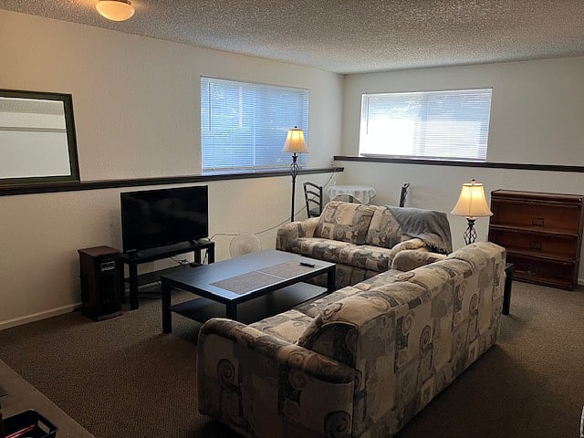 Shared Common Area Family Room