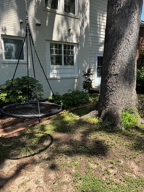 The backyard is compact, but it includes a swing attached to a 100+ year old oak tree - a relaxing break in the afternoon