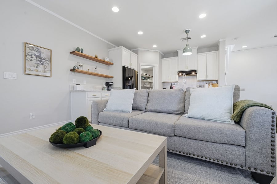 Living room couch
