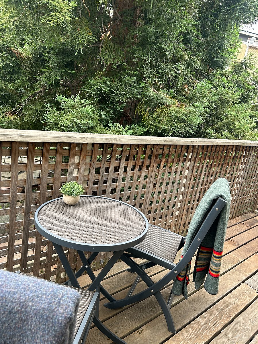 A place for coffee outside with a view of the 100+ year old redwood.