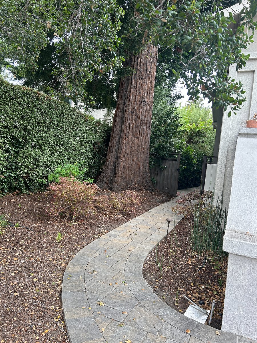 The path to the apartment. The path is lit from sunset to sunrise. 