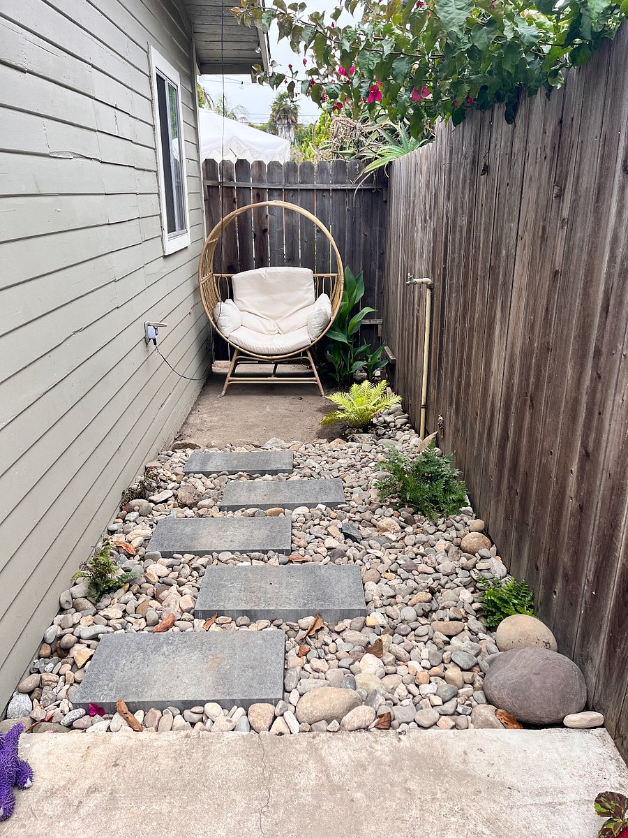 Private fern garden behind cottage.