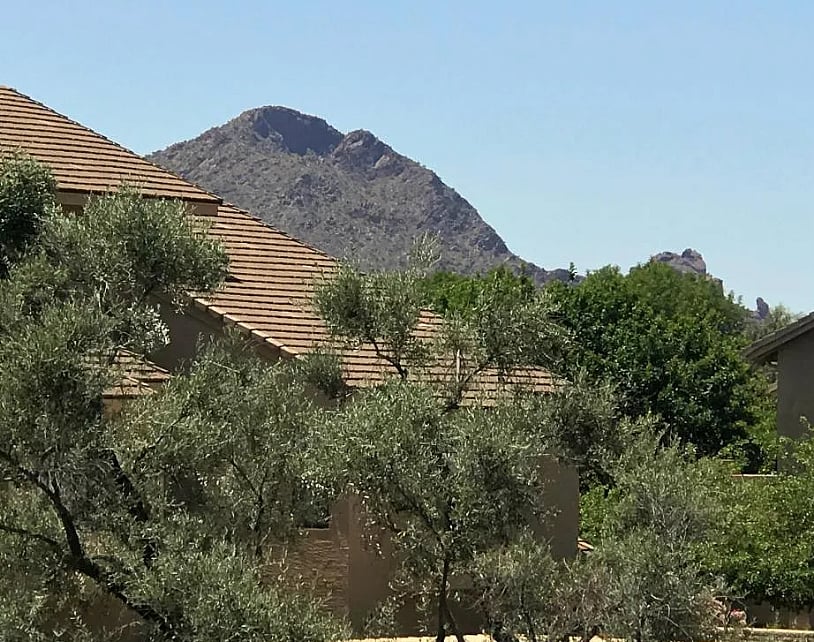 10 minutes from the famous Camelback Mountain!