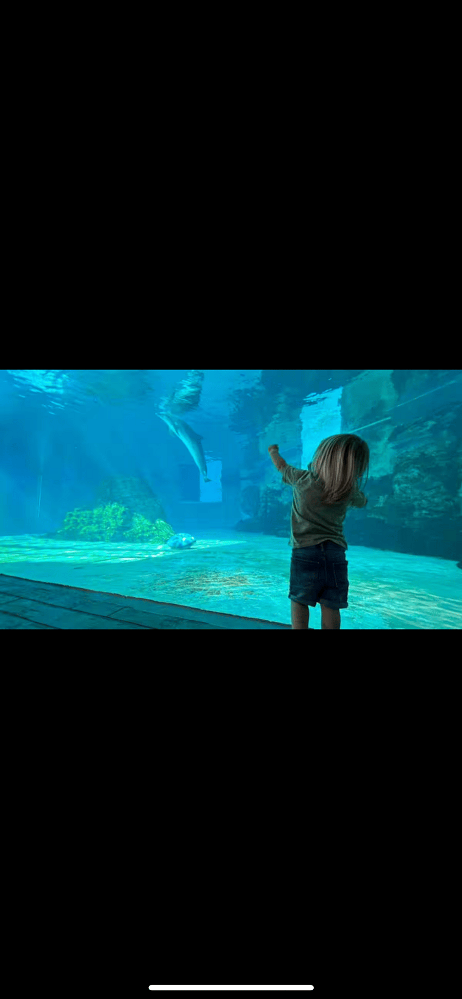 Aquarium only 10 minutes away!