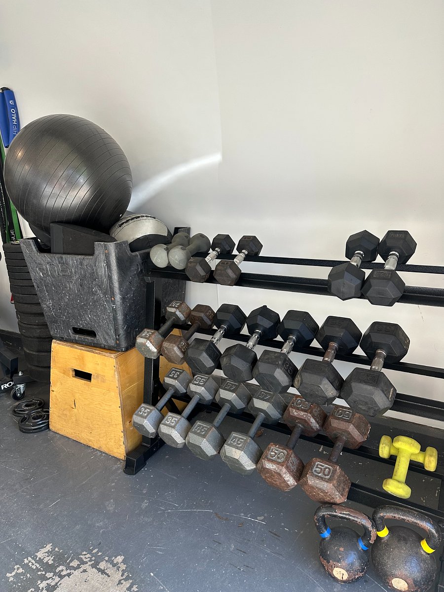 Gym in Garage - Rower, Barbells, Free Weights, Box Jumps, Slam Balls, Plates, Pull Up Bar, Echo Bike, Wall Balls, Bands, Dumbbells