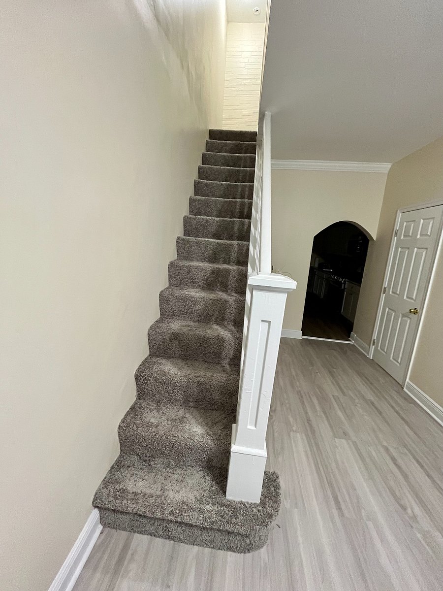 Carpeted stairs
