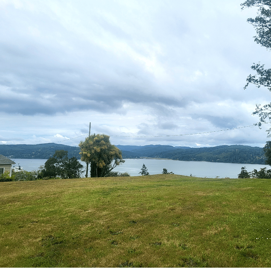 Back yard