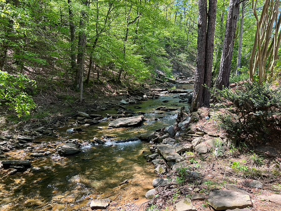 Chapel Creek