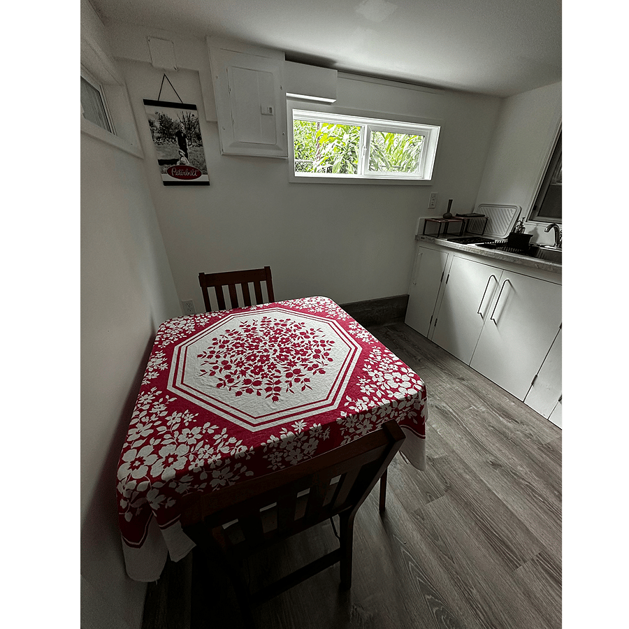 downstairs kitchenette 3
