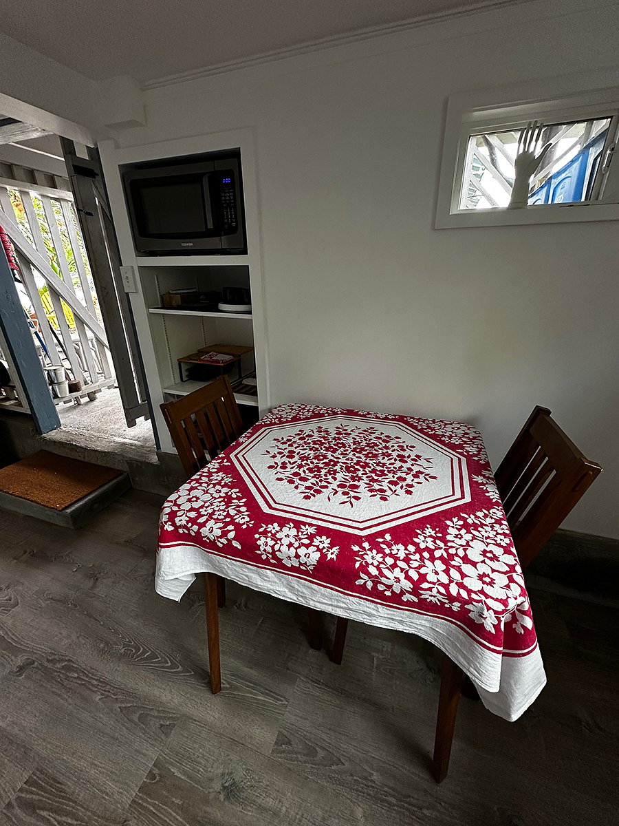 downstairs kitchenette 2