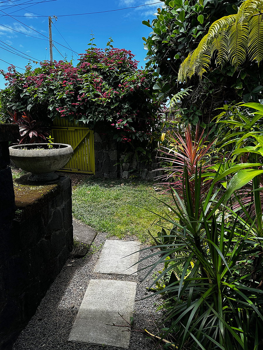 front garden 2