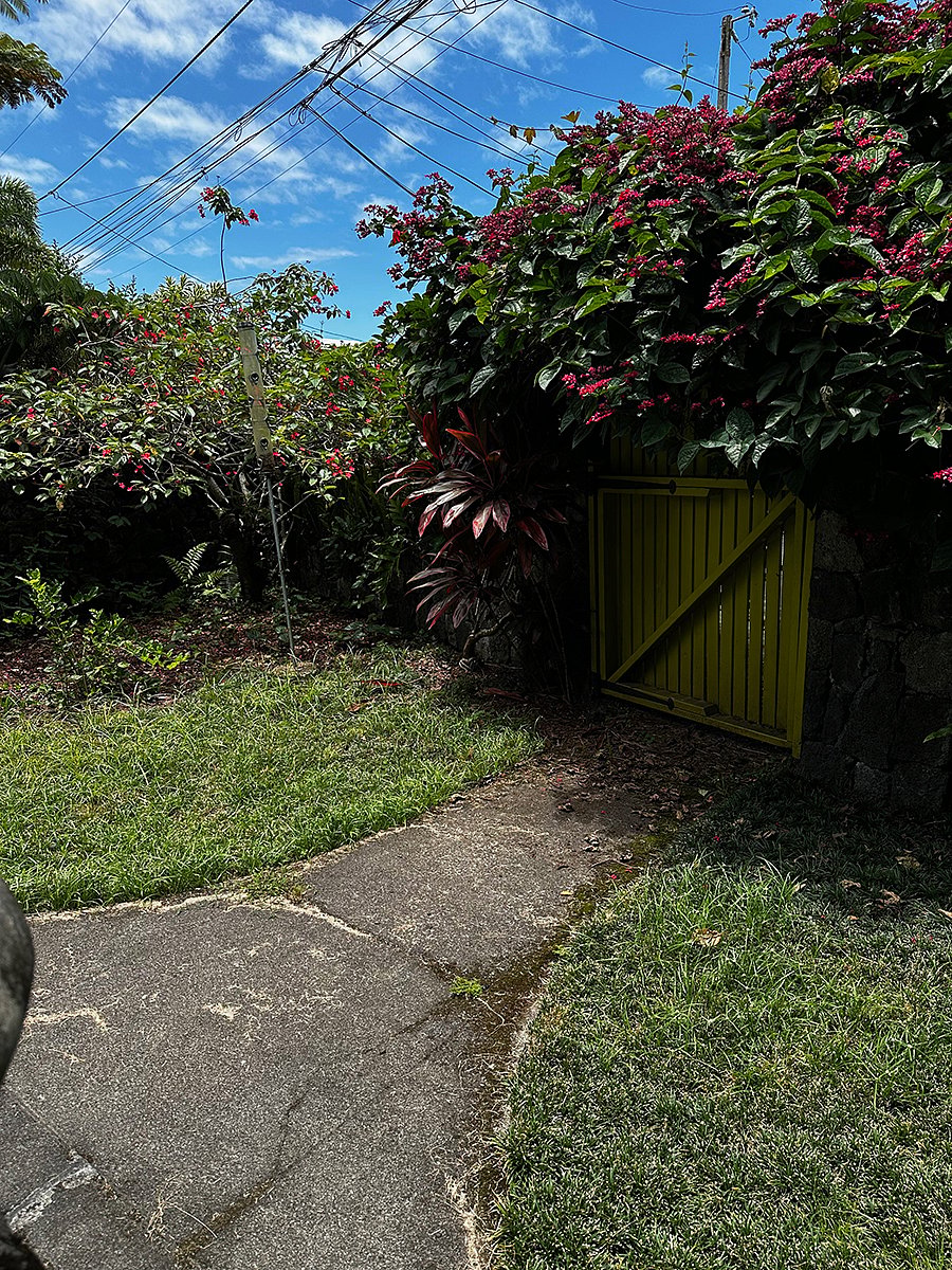 front garden 1