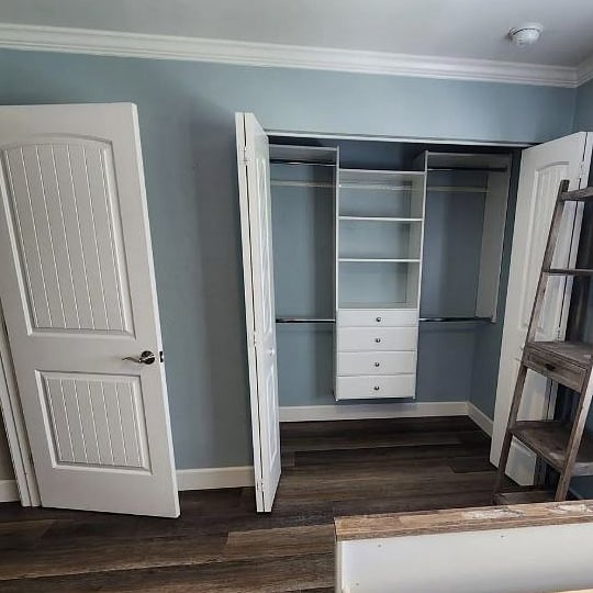 Bedroom #1 closets