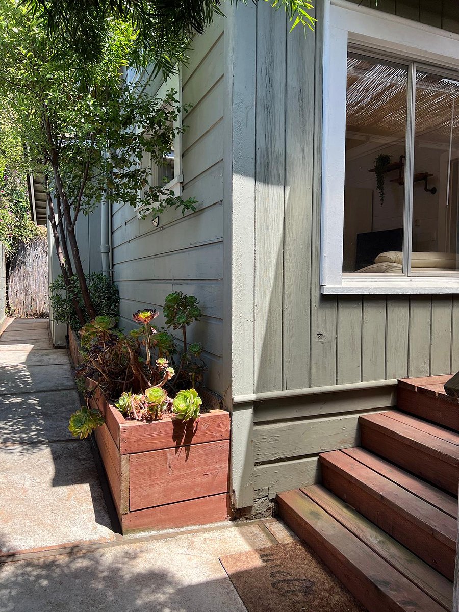 Left path goes to rear of cottage/back patio. Stairs on the right lead to front door of cottage.